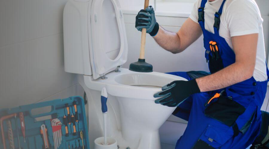 Professional clogged toilet repair in Paia, HI